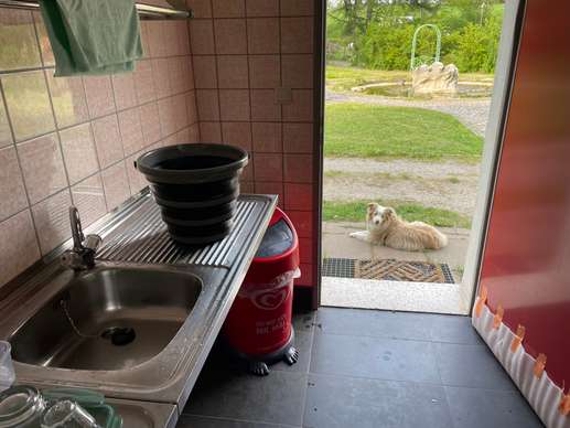 Een foto toegevoegd aan een locatie