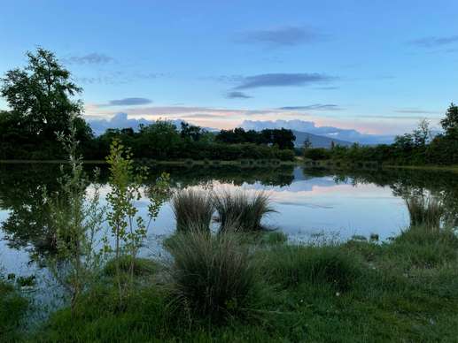 Een foto toegevoegd aan een locatie