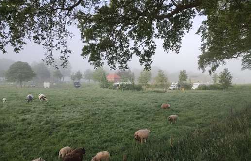 Een foto toegevoegd aan een locatie