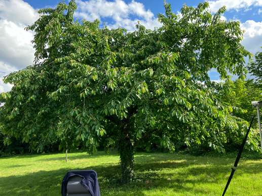 Added a photo to a location