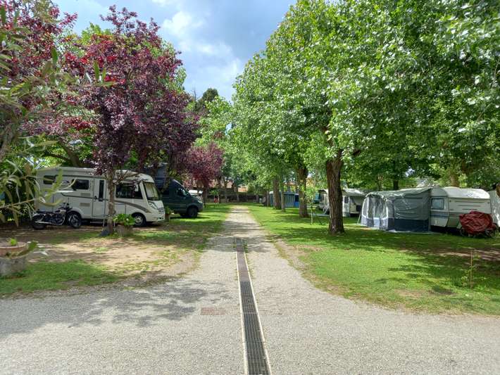 Camping Pineta