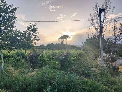 Aggiunta una foto a una posizione