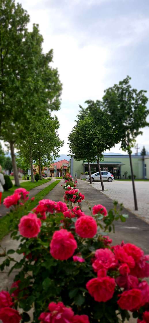 Added a photo to a location