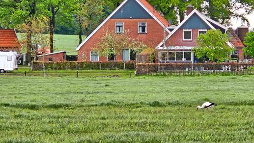Een foto toegevoegd aan een locatie
