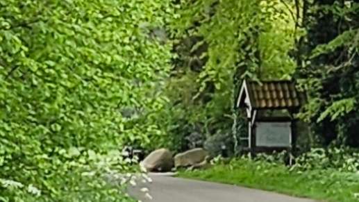 Een foto toegevoegd aan een locatie