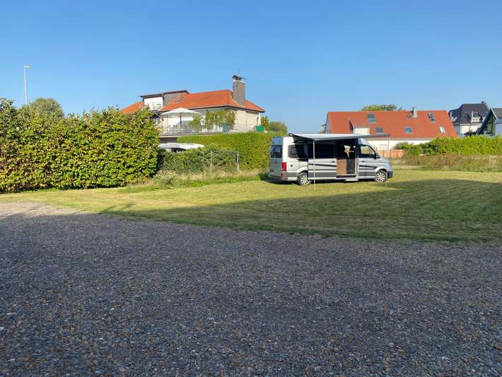 Wiese am Steinhuder Meer