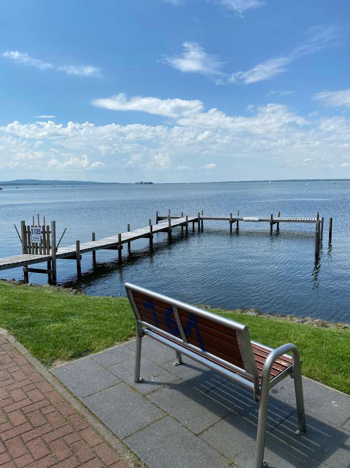 Wiese am Steinhuder Meer
