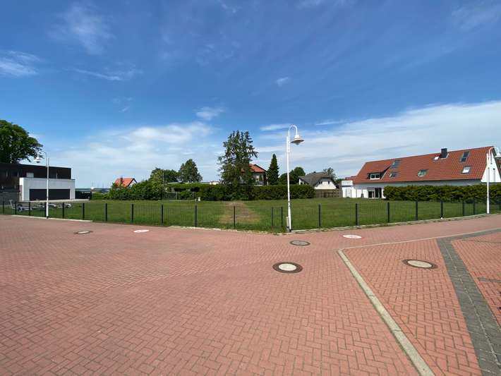 Wiese am Steinhuder Meer