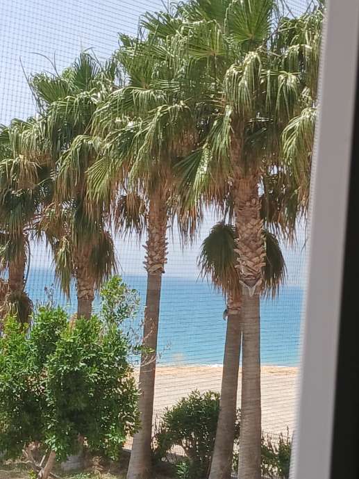 Einem Ort wurde ein Foto hinzugefügt