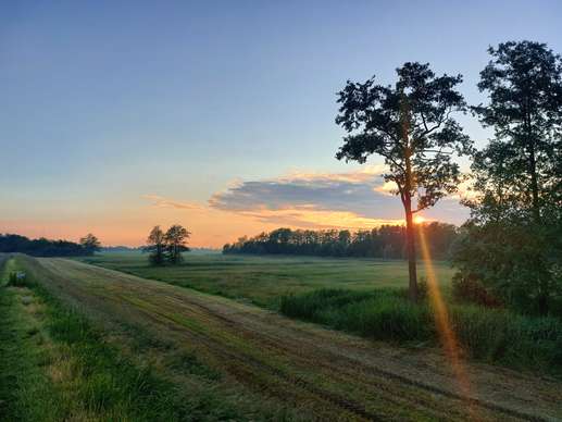 Added a photo to a location