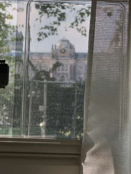 Einem Ort wurde ein Foto hinzugefügt