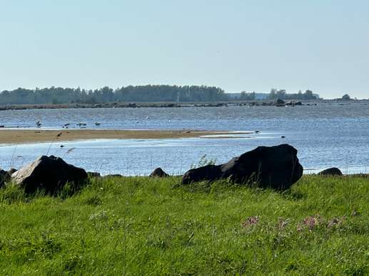 Added a photo to a location