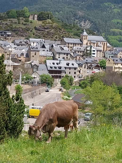 Einem Ort wurde ein Foto hinzugefügt