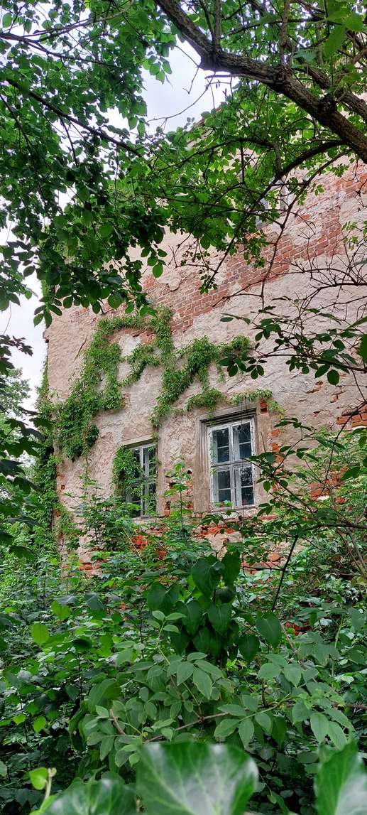 Een foto toegevoegd aan een locatie