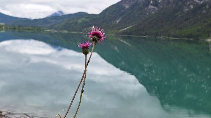 Camping Seespitz
