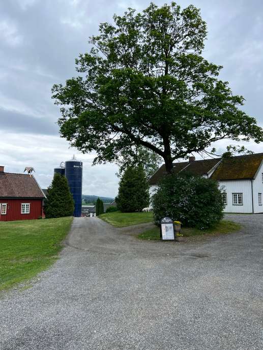 Added a photo to a location