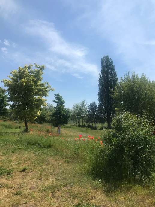 Aggiunta una foto a una posizione