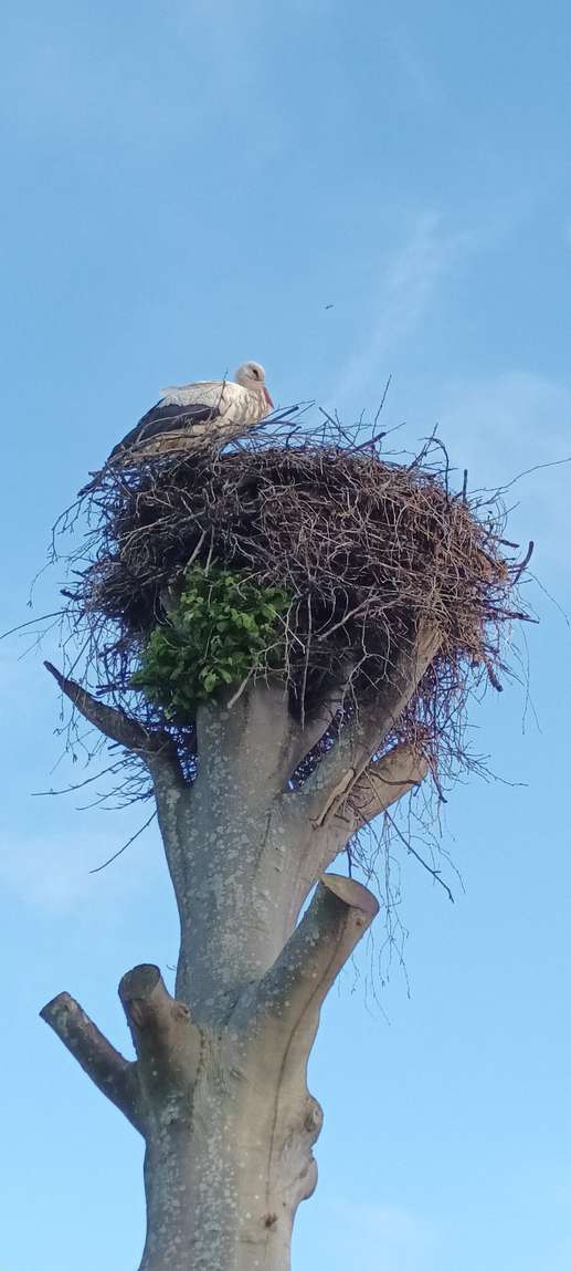 Een foto toegevoegd aan een locatie