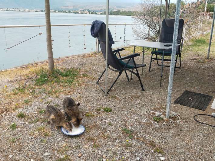 Camping Ayannis