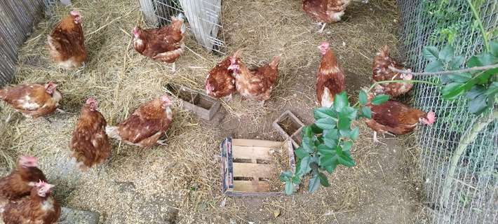 La Maisonnette Blanche