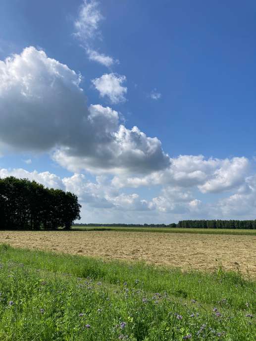 Een foto toegevoegd aan een locatie