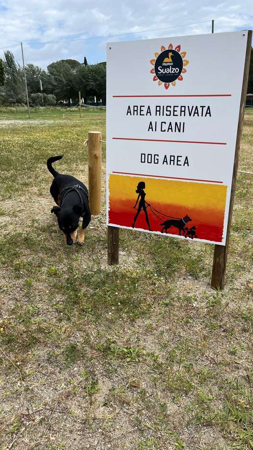 Aggiunta una foto a una posizione