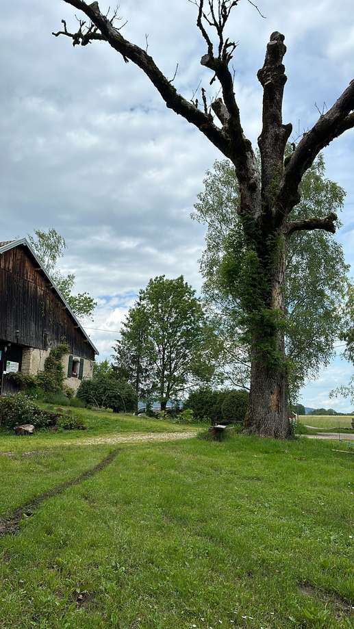 Ajout d'une photo à un emplacement