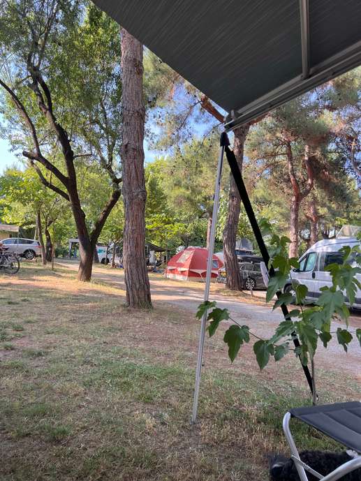 Added a photo to a location