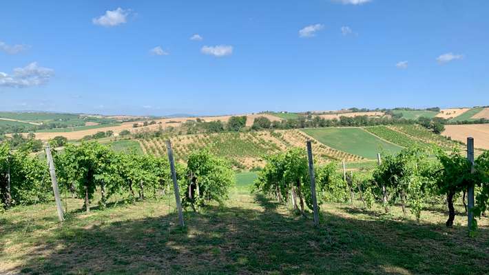 Azienda Bartolacci - Agricamping