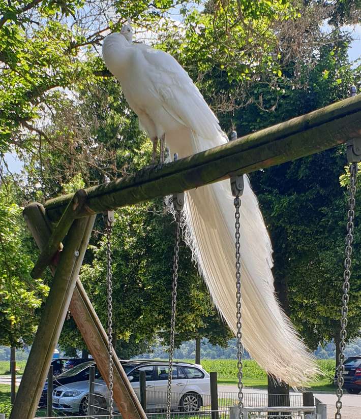 Sonnenhof