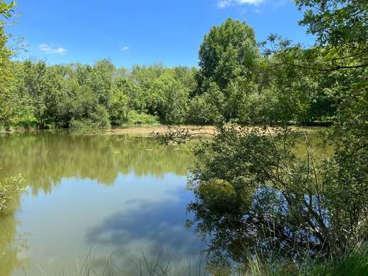 Een foto toegevoegd aan een locatie
