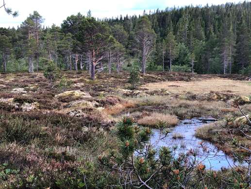 Added a photo to a location