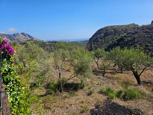 Added a photo to a location