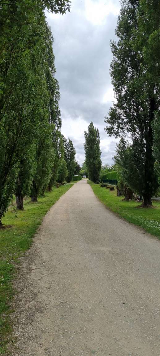 Een foto toegevoegd aan een locatie