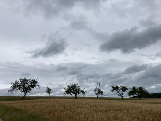 Een foto toegevoegd aan een locatie