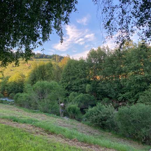 Added a photo to a location