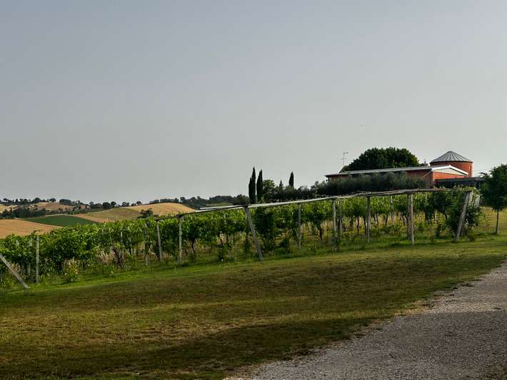 Azienda Bartolacci - Agricamping