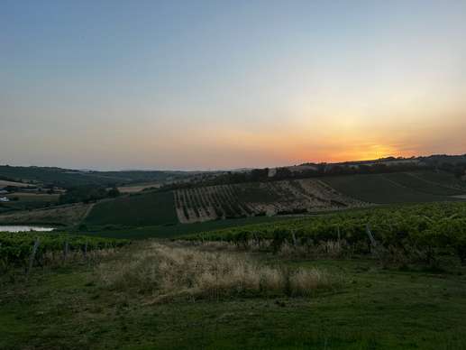 Added a photo to a location