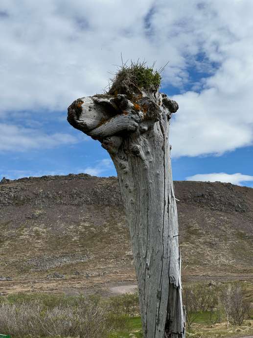 Aggiunta una foto a una posizione