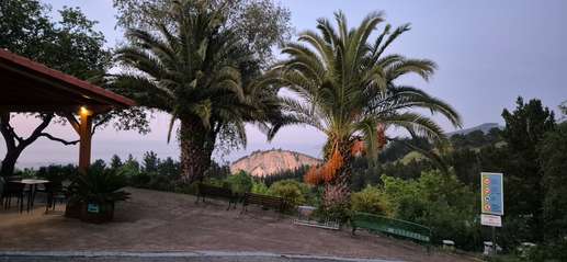 Added a photo to a location