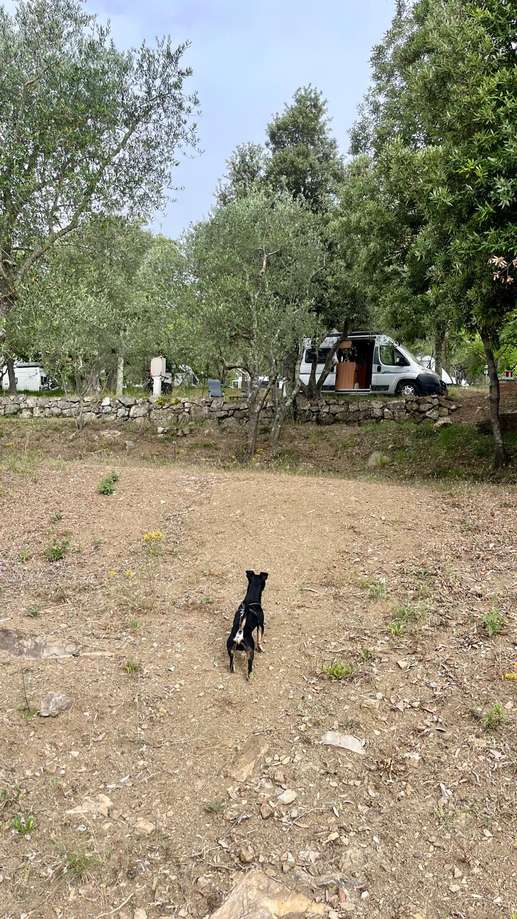 Aggiunta una foto a una posizione