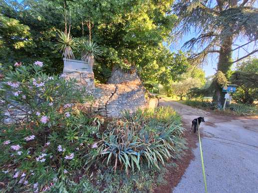 Added a photo to a location