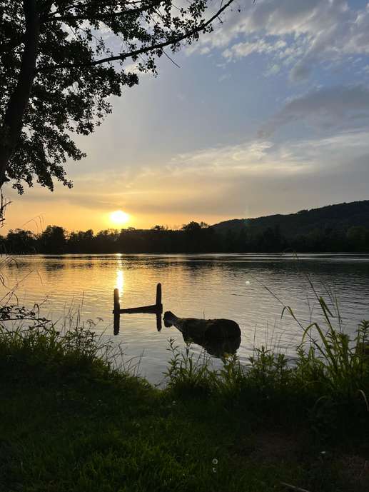 Aggiunta una foto a una posizione