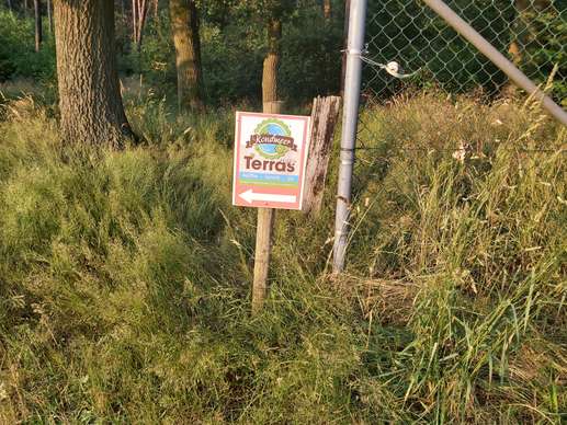 Added a photo to a location