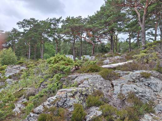 Added a photo to a location