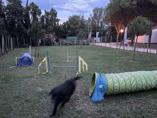 Aggiunta una foto a una posizione