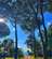 Camping Amalasunta