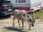 Bessheim Mountain Lounge and Hytter