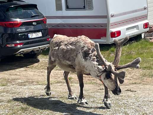 Aggiunta una foto a una posizione