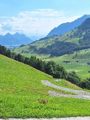 Einem Ort wurde ein Foto hinzugefügt